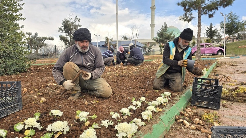 Eyyübiye'de Yeşil Alanlar Bahara Hazırlanıyor