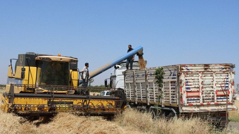 Tarım Ürünleri Üretici Fiyat Endeksi Şubat 2026'da Arttı