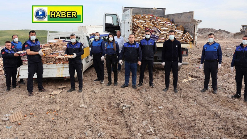 Haliliye'de 5 Bin Koli Sağlıksız Yumurta Ele Geçirildi