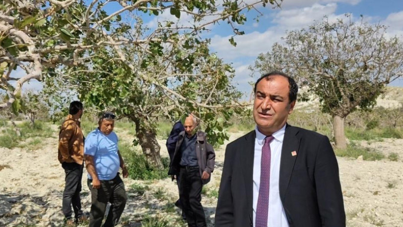 Birecik'te Üreticiler Destek Bekliyor