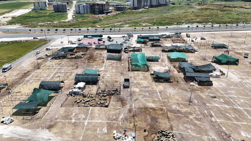 Haliliye'de Kurban Satış ve Kesim Noktaları Belirlendi
