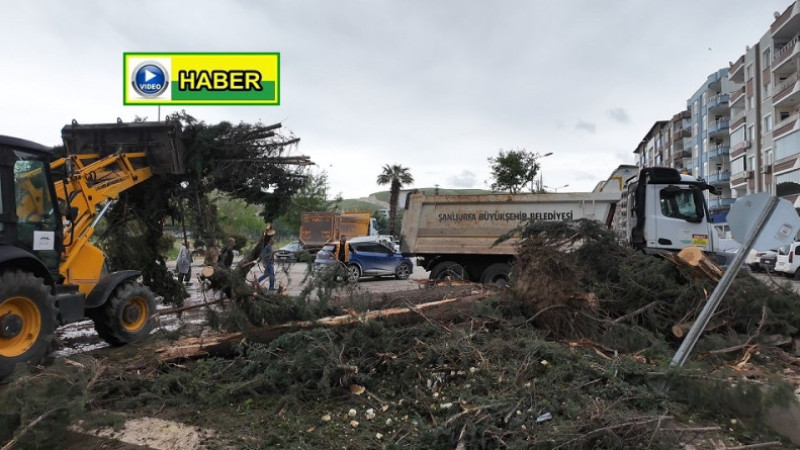 Şanlıurfa Büyükşehir Belediyesi Birecik’te Afetin Yaralarını Sarıyor