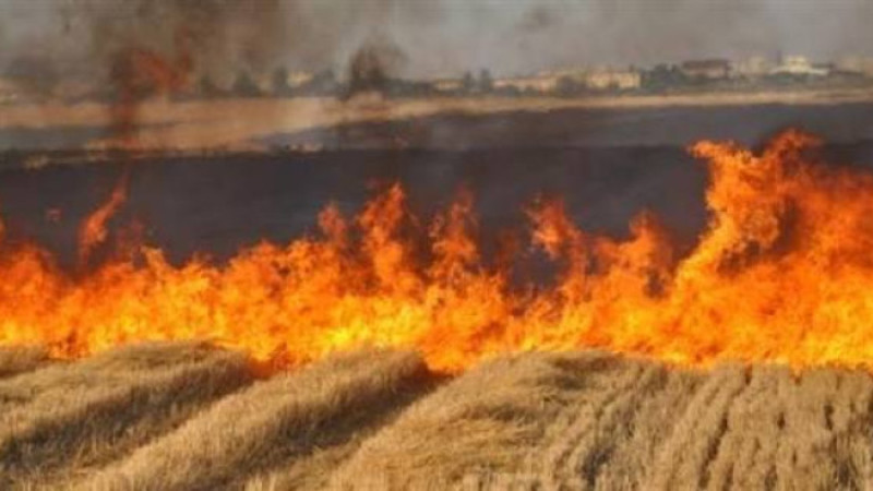 Şanlıurfa’da Anız Yakanlara Yüksek Miktarda Ceza