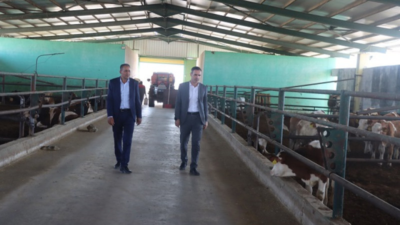 Şanlıurfa Besi Organize Tarım Bölgesine Hayvan Hastanesi Müjdesi